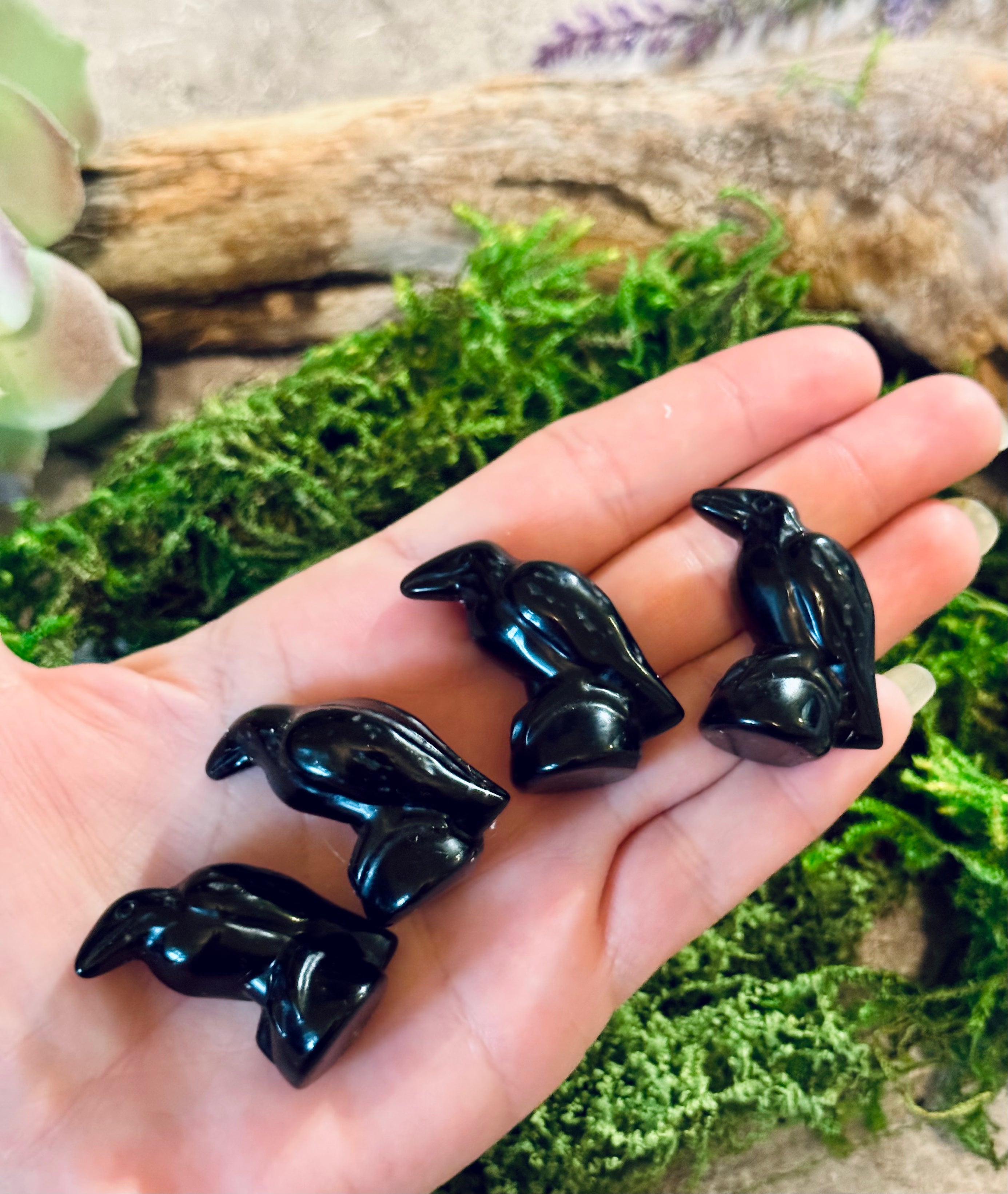 Obsidian Raven / Crow Crystal