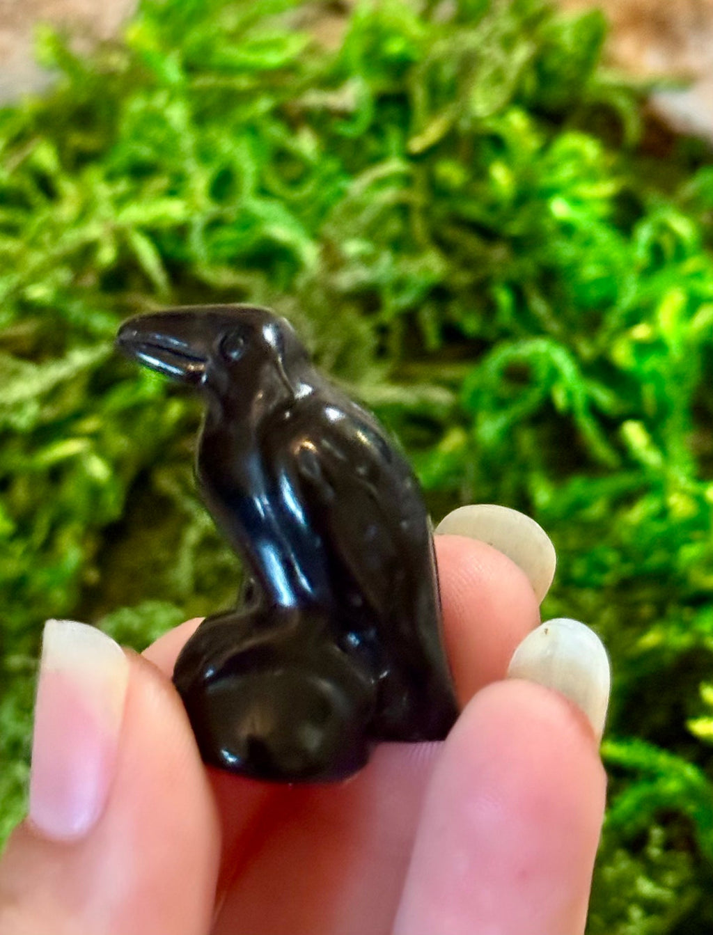 Obsidian Raven / Crow Crystal
