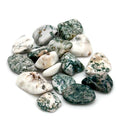 Tree Agate Tumbled Stone