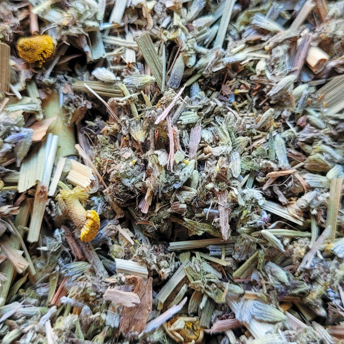 Dream Magick Herbal Incense