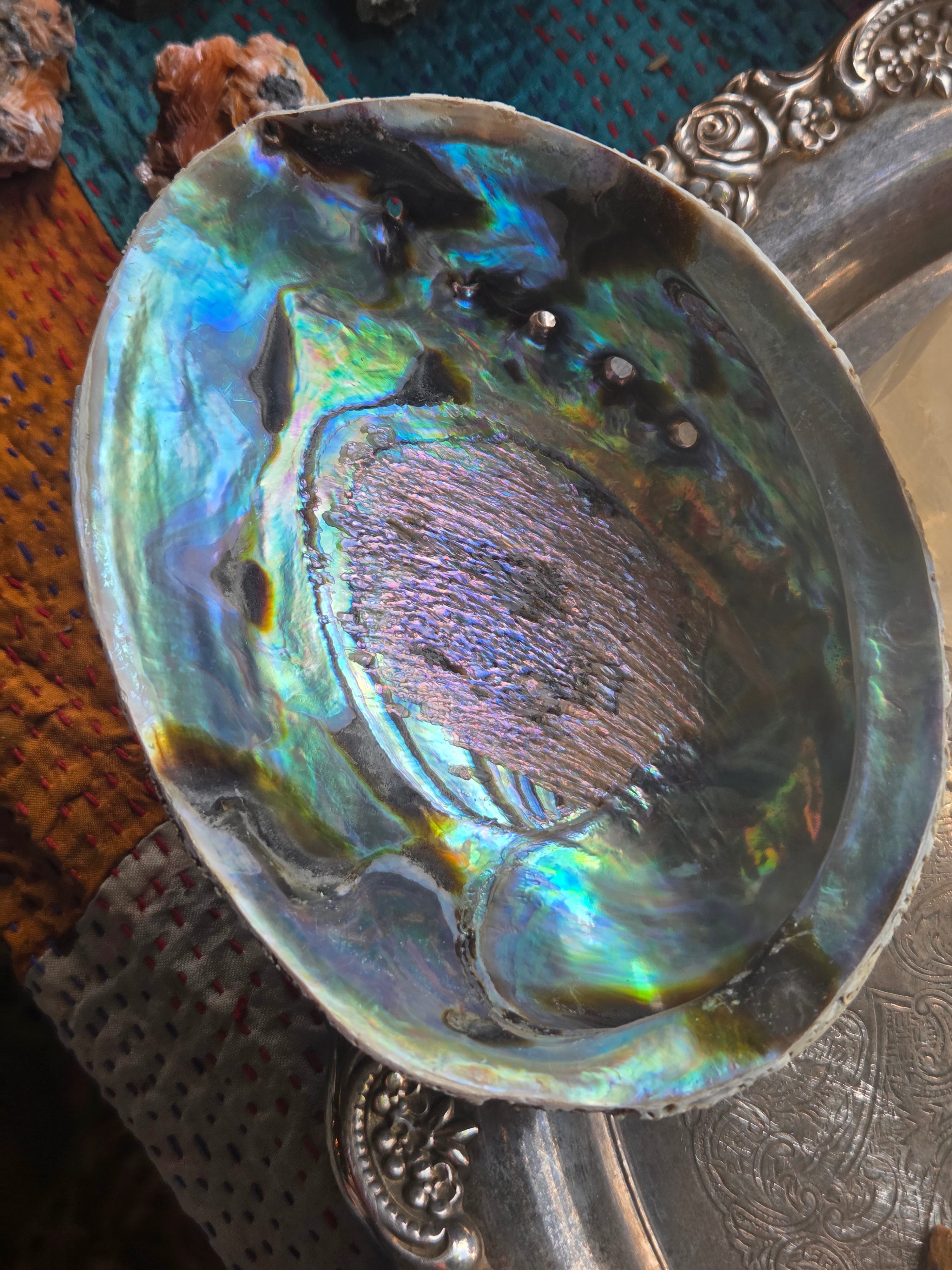 Abalone Shell Smudge Bowl (5–5.5”)