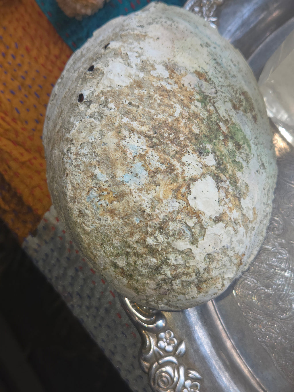 Abalone Shell Smudge Bowl (5–5.5”)
